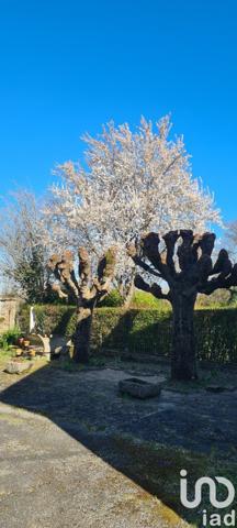 Maison 7 pièces de 159 m² à Magnac-Laval (87190)