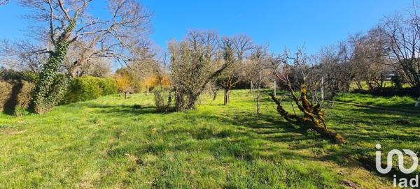 Maison 7 pièces de 159 m² à Magnac-Laval (87190)