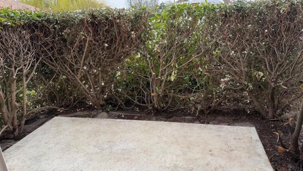 Appartement à vendre 2 pièces 37.1m²