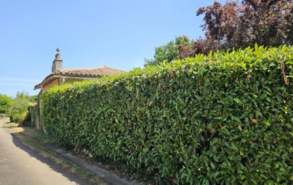 Vente Maison Champagne-mouton   