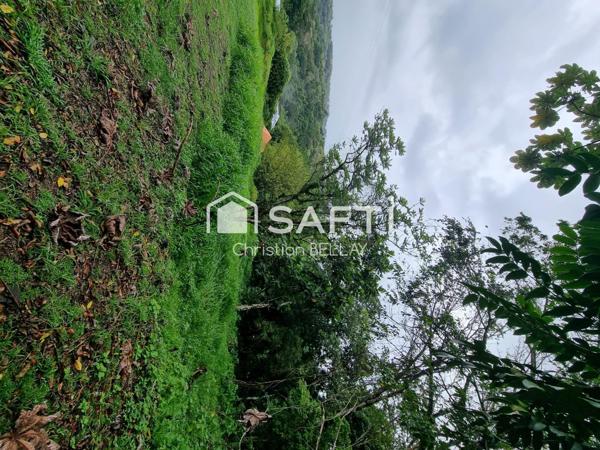 Terrains à bâtir – au calme - Lamentin