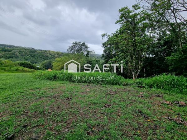 Terrains à bâtir – au calme - Lamentin