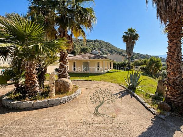 J'ai le plaisir de vous présenter cette villa entièrement de plain pieds, nichée au coeur de Bastelicaccia sur un terrain arboré d'une superficie de 1400 m², hors lotissement.
Avec ses multiples ouvertures offrant un accès aux terrasses couvertes ainsi qu'au jardin plat orienté sud, cette mini villa est baignée de lumière, été comme hiver.
Elle offre une très agréable vue dégagée sur la vallée du Prunelli.
Elle est composée comme suit:
Un salon séjour cheminée, une cuisine ouverte avec cellier attenant, deux chambres, une salle de bain / wc (un second visiteur )

Ce bien offre un cadre de vie pratique et agréable grâce à sa maison fonctionnelle et son terrain plat.
La configuration des lieux permet une possibilité d'agrandissement ainsi que la création d'une piscine.
Reliée au tout à l'égout.

A 5 minutes de l'école et de toutes les commodités, 15 minutes d'Ajaccio et 10 minutes de Porticcio.