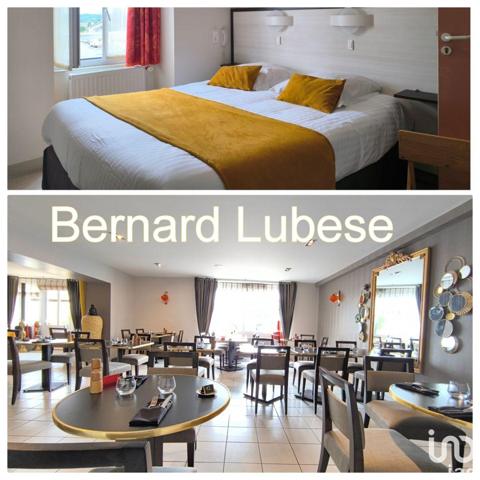 Hôtel-restaurant à vendre 700 m² Bessines-sur-Gartempe