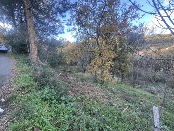 Terrain Constructible de 2000 m²  - Pardina-1