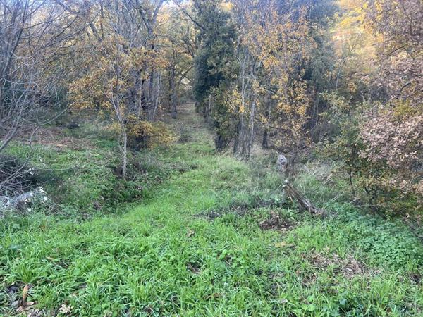 Terrain Constructible de 2000 m²  - Pardina-1