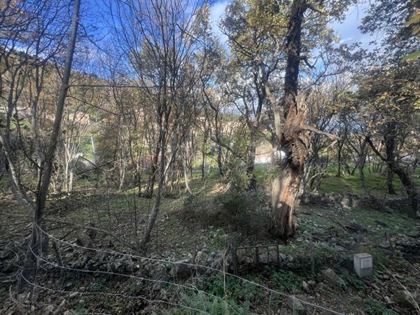 Terrain Constructible de 2000 m²  - Pardina-1