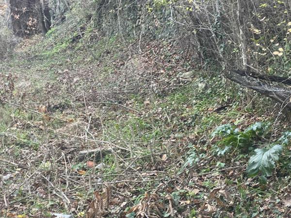 Terrain Constructible de 2000 m²  - Pardina-1