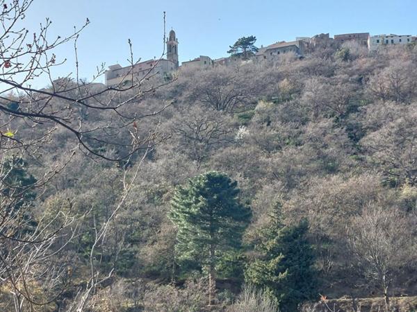 Terrain Constructible de 2000 m²  - Pardina-1