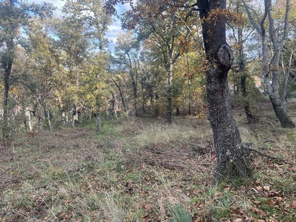 Terrain Constructible de 2000 m²  - Pardina-1