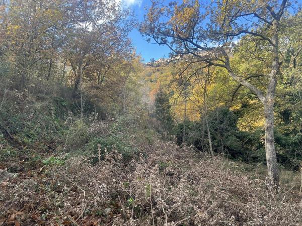 Terrain Constructible de 2000 m²  - Pardina-1