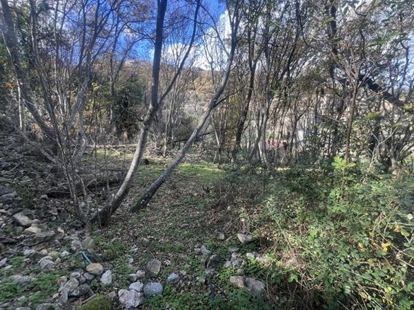 Terrain Constructible de 2000 m²  - Pardina-1
