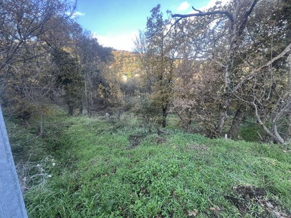 Terrain Constructible de 2000 m²  - Pardina-1