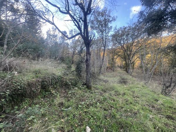 Terrain Constructible de 2000 m²  - Pardina-1