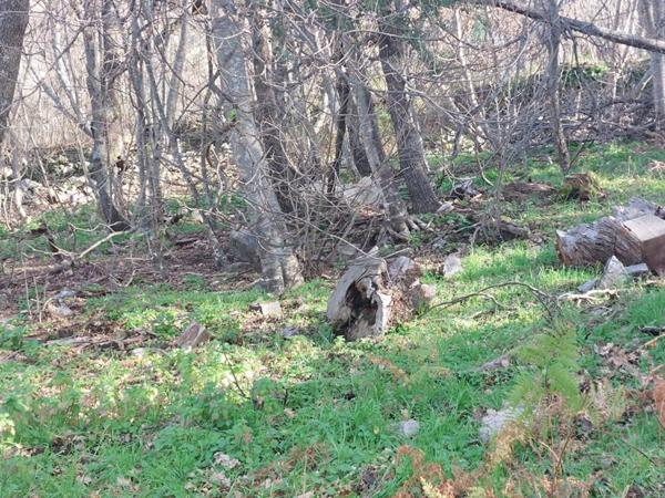 Terrain Constructible de 2000 m²  - Pardina-1