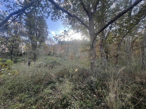 Terrain Constructible de 2000 m²  - Pardina-1