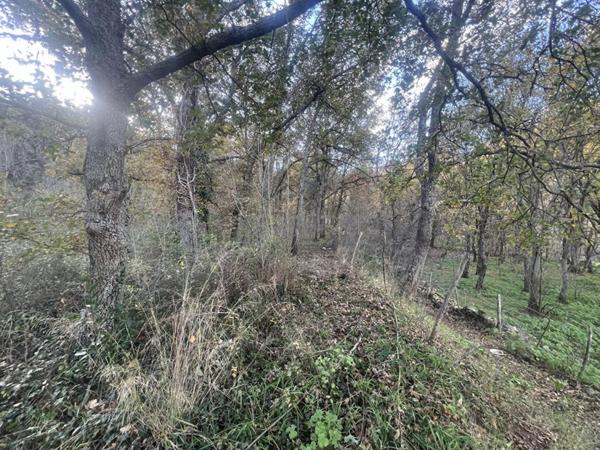 Terrain Constructible de 2000 m²  - Pardina-1