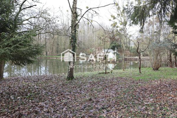 Bel étang à Château-Gontier-sur-Mayenne