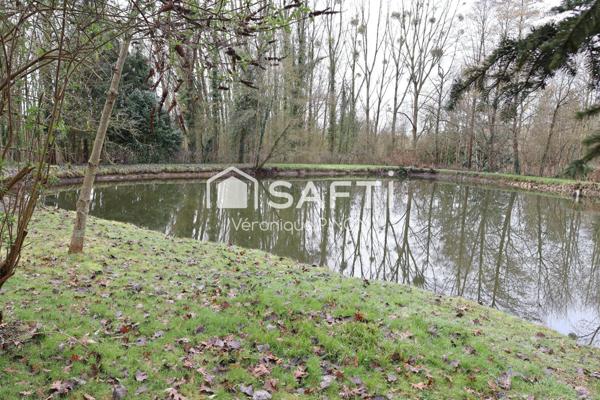 Bel étang à Château-Gontier-sur-Mayenne