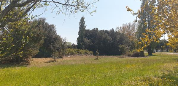 Terrain