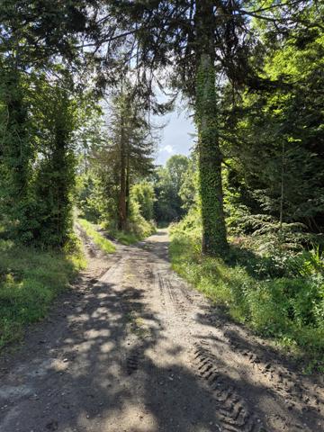 Lopérec (29590) CORPS DE FERME SUR UN TERRAIN DE 6 HECTARES