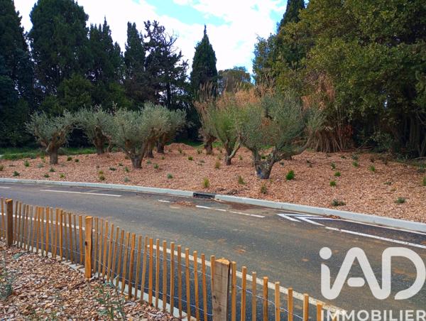 Terrain à vendre 270 m² Elne