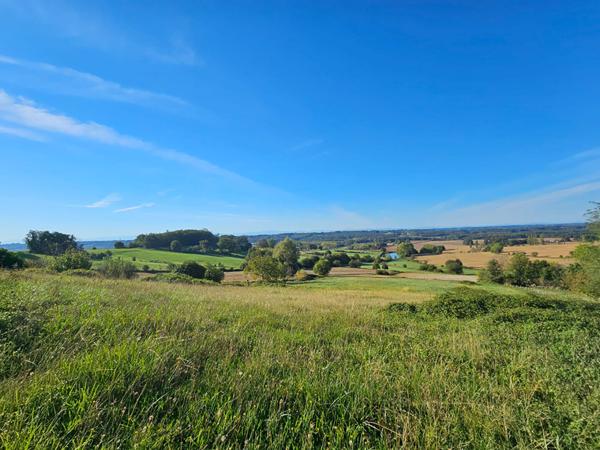 Achat terrain Brassempouy - 10173 m² - 130 000 €