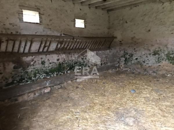 Terrain - Nogent Le Rotrou