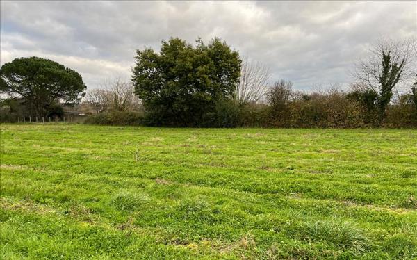 Terrain à vendre |  Guîtres |  490 m²