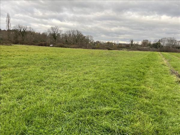 Terrain à vendre |  Guîtres |  490 m²