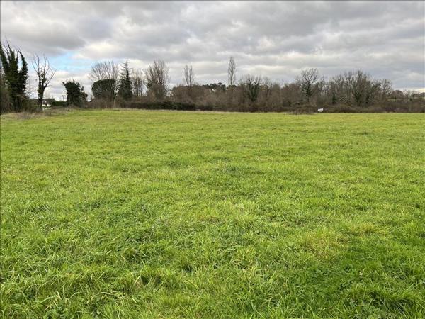 Terrain à vendre |  Guîtres |  490 m²