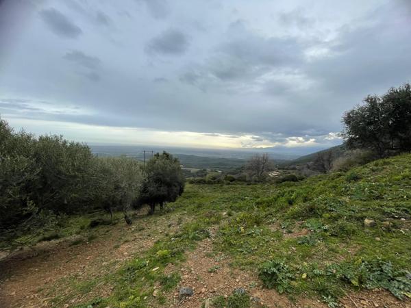 Linguizzetta (20230) Terrain à bâtir hors lotissement