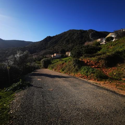 Linguizzetta (20230) Terrain à bâtir hors lotissement