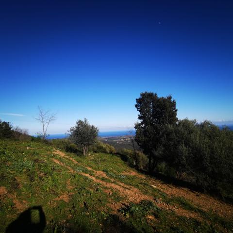 Linguizzetta (20230) Terrain à bâtir hors lotissement