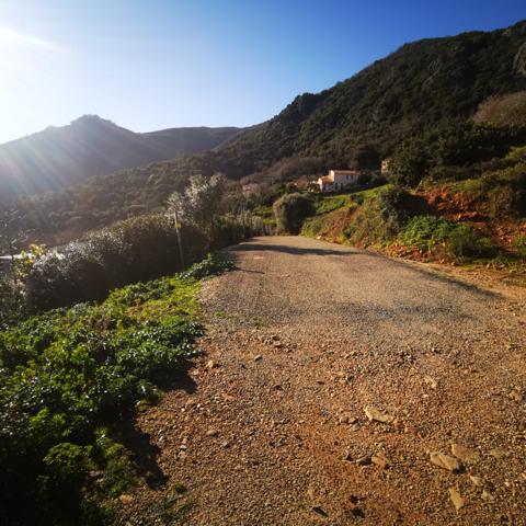 Linguizzetta (20230) Terrain à bâtir hors lotissement
