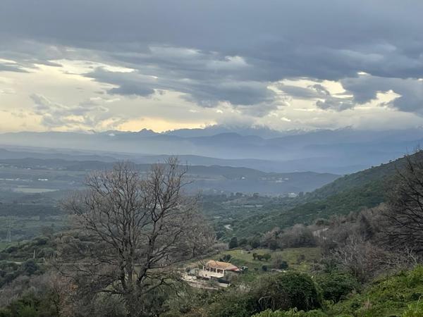 Linguizzetta (20230) Terrain à bâtir hors lotissement