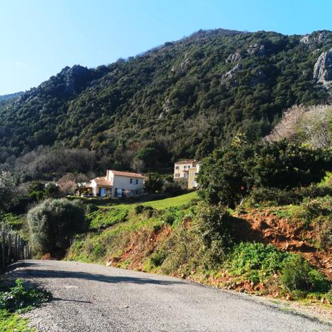 Linguizzetta (20230) Terrain à bâtir hors lotissement