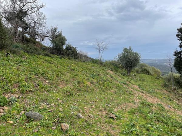 Linguizzetta (20230) Terrain à bâtir hors lotissement