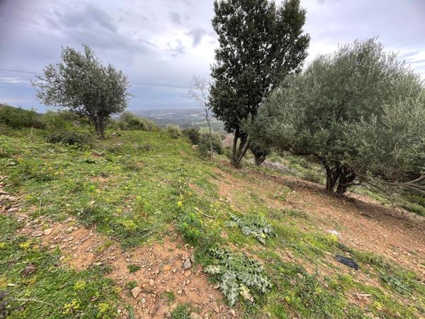 Linguizzetta (20230) Terrain à bâtir hors lotissement