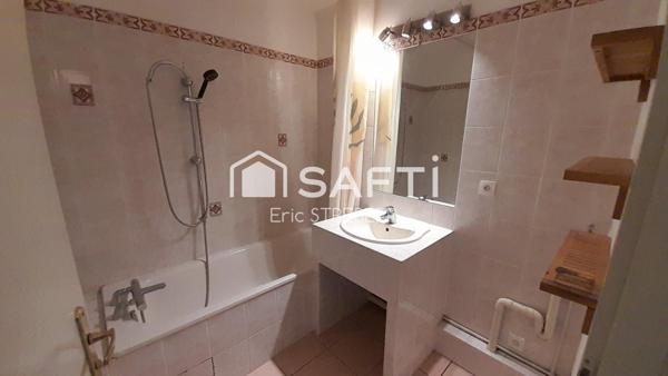 Situation idéale aux portes de strasbourg - Beau T3