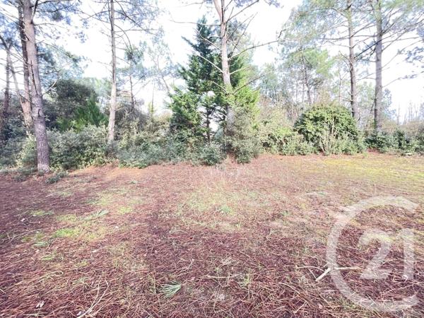 Terrain à vendre  1790 m2 ST JEAN DE MONTS - 85
