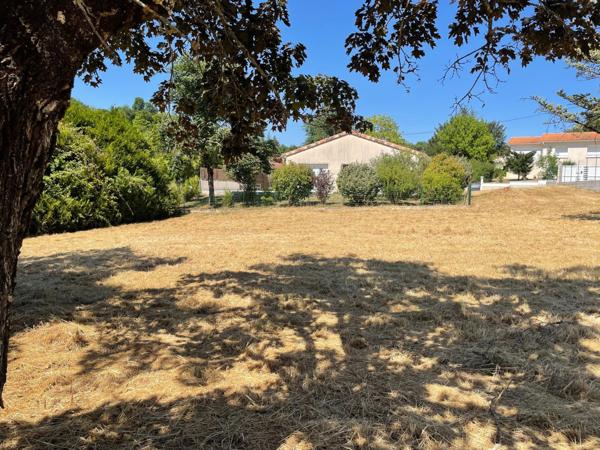 Terrain à bâtir 800 m2 dans RUELLE (rare)