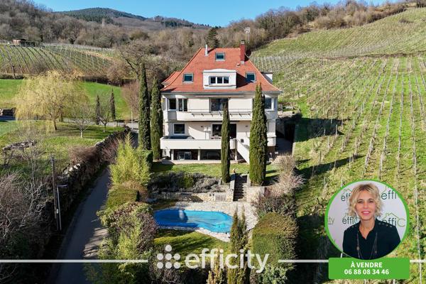 Maison 12 pièces - 383 m² Bien prestige