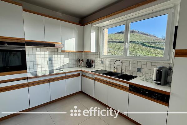 Maison 12 pièces - 383 m² Bien prestige