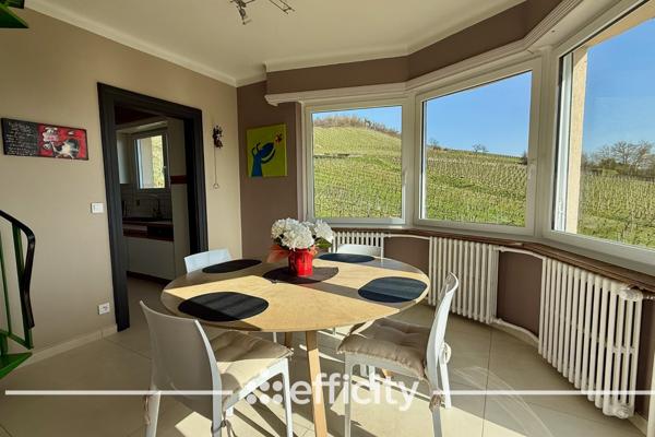 Maison 12 pièces - 383 m² Bien prestige