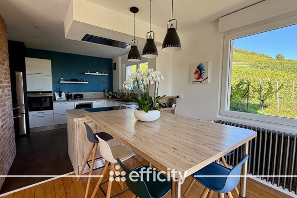 Maison 12 pièces - 383 m² Bien prestige