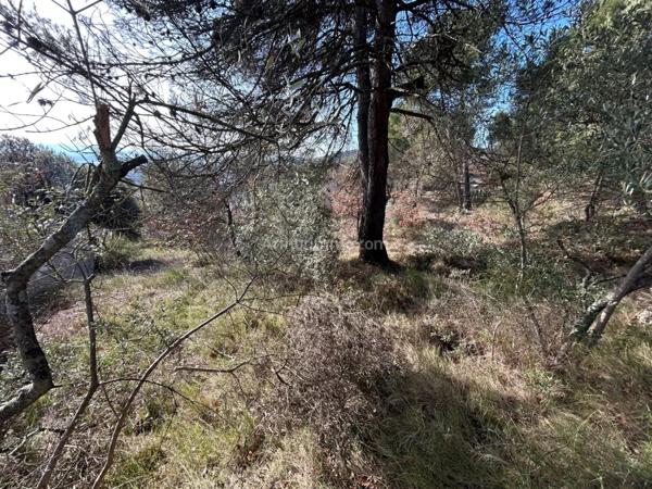 Vente Terrain 1000 m2 à Sainte-Tulle