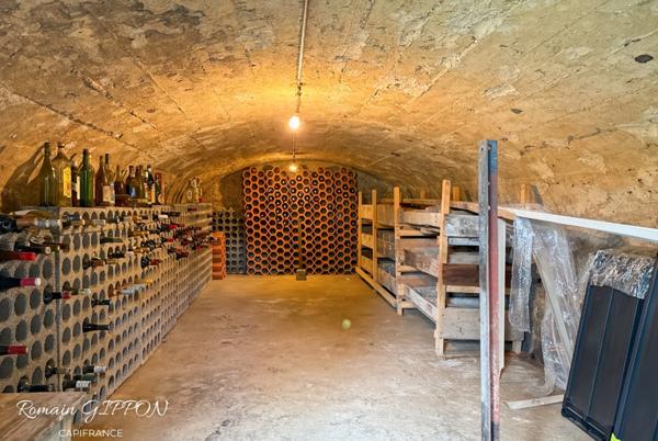 Authentique maison lorraine avec cachet - 7 pièces - 215m2 – grand jardin & annexes – MONTAUVILLE (54)