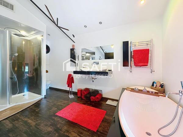 Loft de plus de 160m² avec Piscine et garage - TOULOUSE