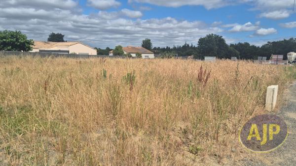 Vente terrain Montaigu : 69 500 € - AJP Immobilier Montaigu